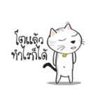 white cat in the house 2（個別スタンプ：17）