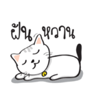 white cat in the house 2（個別スタンプ：29）