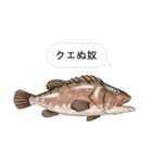 お魚だじゃれスタンプ（個別スタンプ：39）