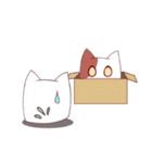 もちもち！ しかくいねこ（個別スタンプ：33）