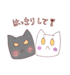 もちもち！ しかくいねこ（個別スタンプ：37）