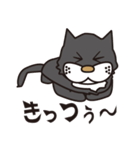 孤高のドラネコ。ラ・ドコーネ。（個別スタンプ：9）