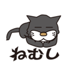 孤高のドラネコ。ラ・ドコーネ。（個別スタンプ：13）