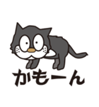 孤高のドラネコ。ラ・ドコーネ。（個別スタンプ：16）