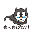 孤高のドラネコ。ラ・ドコーネ。（個別スタンプ：17）