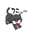 孤高のドラネコ。ラ・ドコーネ。（個別スタンプ：19）