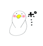 I am a bird.（個別スタンプ：1）
