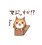 にゃんこ日記 〜猫の日常スタンプ〜（個別スタンプ：4）
