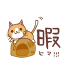にゃんこ日記 〜猫の日常スタンプ〜（個別スタンプ：16）
