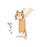 にゃんこ日記 〜猫の日常スタンプ〜（個別スタンプ：24）