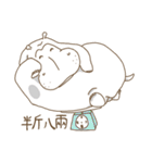 Dou Zi Round and girl iki（個別スタンプ：39）