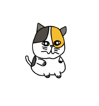 lily catty（個別スタンプ：5）