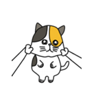 lily catty（個別スタンプ：6）