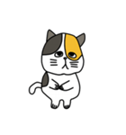 lily catty（個別スタンプ：9）