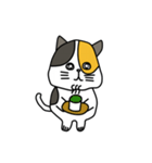 lily catty（個別スタンプ：34）