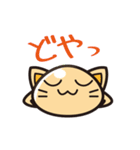 ねこぷる（個別スタンプ：24）