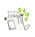 シロイヌくん（個別スタンプ：13）