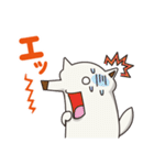 シロイヌくん（個別スタンプ：14）