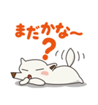 シロイヌくん（個別スタンプ：16）