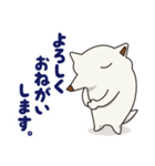 シロイヌくん（個別スタンプ：22）