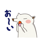 シロイヌくん（個別スタンプ：25）