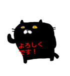 black cat san（個別スタンプ：1）