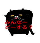 black cat san（個別スタンプ：15）