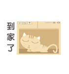 ugly and fat cat（個別スタンプ：33）