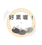 ugly and fat cat（個別スタンプ：40）