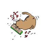 ドジ猫の平和な毎日（個別スタンプ：21）
