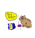 ドジ猫の平和な毎日（個別スタンプ：24）