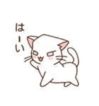 c cat にゃんこ（個別スタンプ：7）