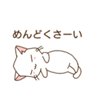 c cat にゃんこ（個別スタンプ：17）