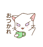 c cat にゃんこ（個別スタンプ：30）