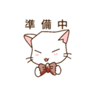 c cat にゃんこ（個別スタンプ：34）