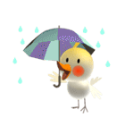 オカメインコのりんごちゃん（個別スタンプ：16）