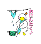 コールダックのぷぅ。（個別スタンプ：30）