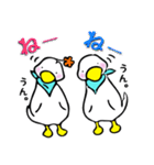コールダックのぷぅ。（個別スタンプ：33）