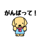 かわいいラブラドールレトリバー（個別スタンプ：7）