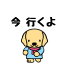 かわいいラブラドールレトリバー（個別スタンプ：19）