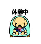 かわいいラブラドールレトリバー（個別スタンプ：24）