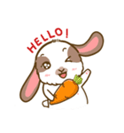 Shabu The Rabbit（個別スタンプ：1）
