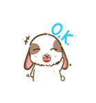 Shabu The Rabbit（個別スタンプ：3）