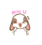 Shabu The Rabbit（個別スタンプ：5）