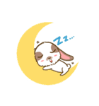 Shabu The Rabbit（個別スタンプ：8）