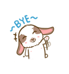 Shabu The Rabbit（個別スタンプ：12）
