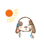 Shabu The Rabbit（個別スタンプ：15）
