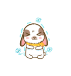 Shabu The Rabbit（個別スタンプ：16）