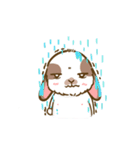 Shabu The Rabbit（個別スタンプ：17）
