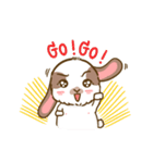 Shabu The Rabbit（個別スタンプ：19）
